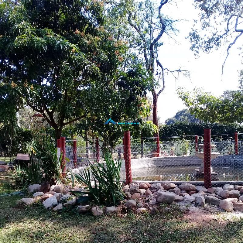 Chácara, 2 quartos, 2516 m² - Foto 2