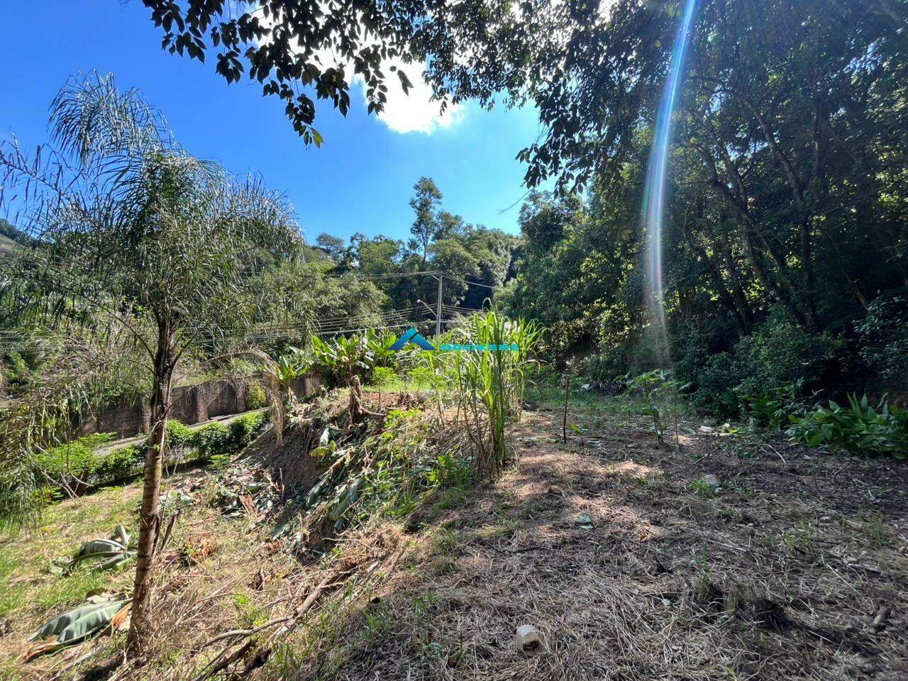 Terreno, 2000 m² - Foto 6
