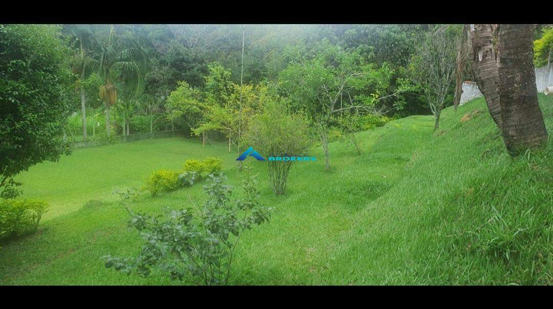 Sítio, 4 quartos, 3600 m² - Foto 15