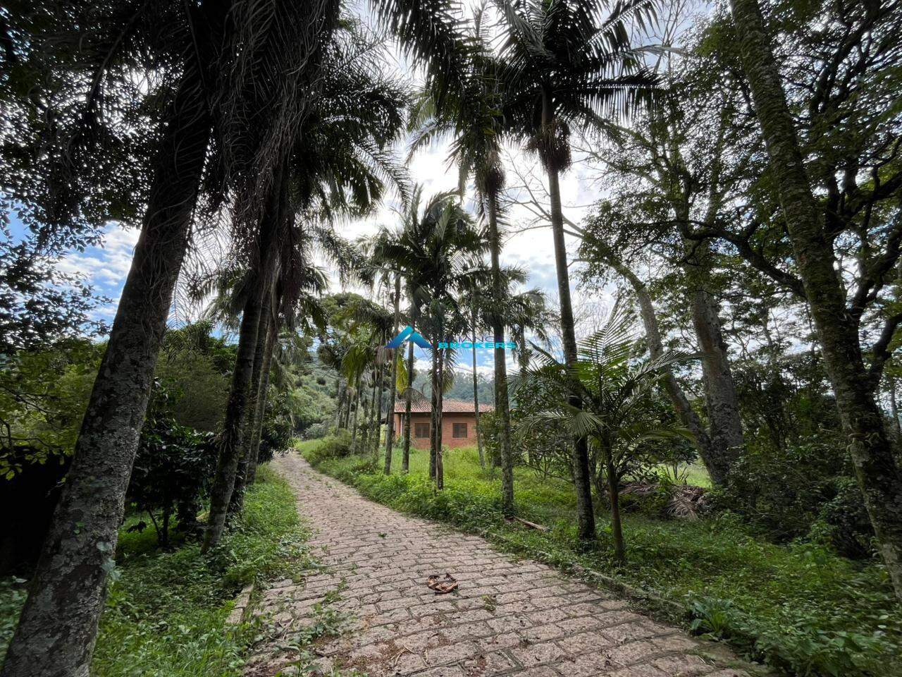 Sítio, 3 quartos, 2 hectares - Foto 4