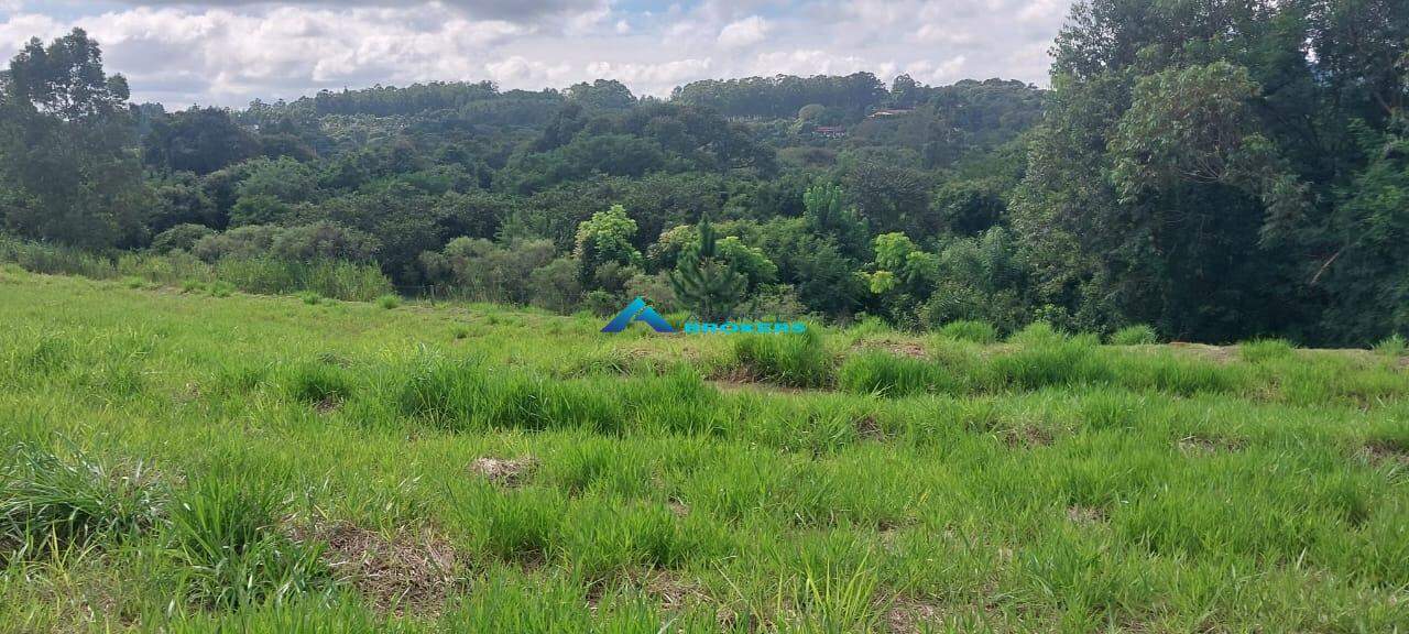Terreno, 800 m² - Foto 5