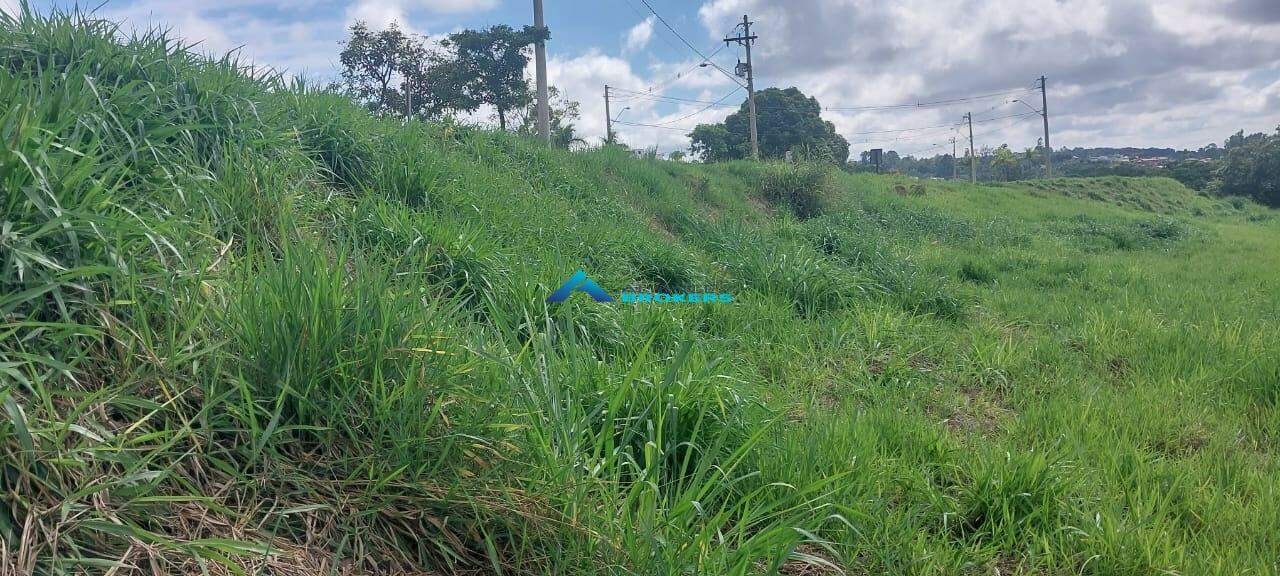 Terreno, 800 m² - Foto 6