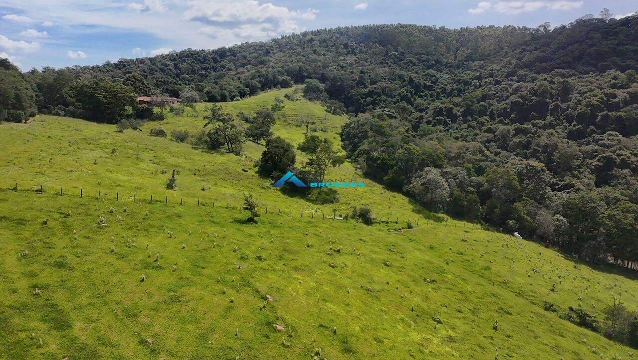 Terreno, 2 hectares - Foto 10