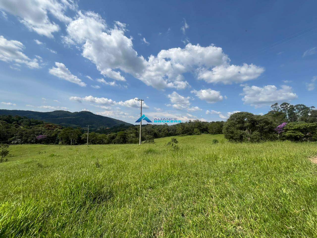 Terreno, 2 hectares - Foto 4