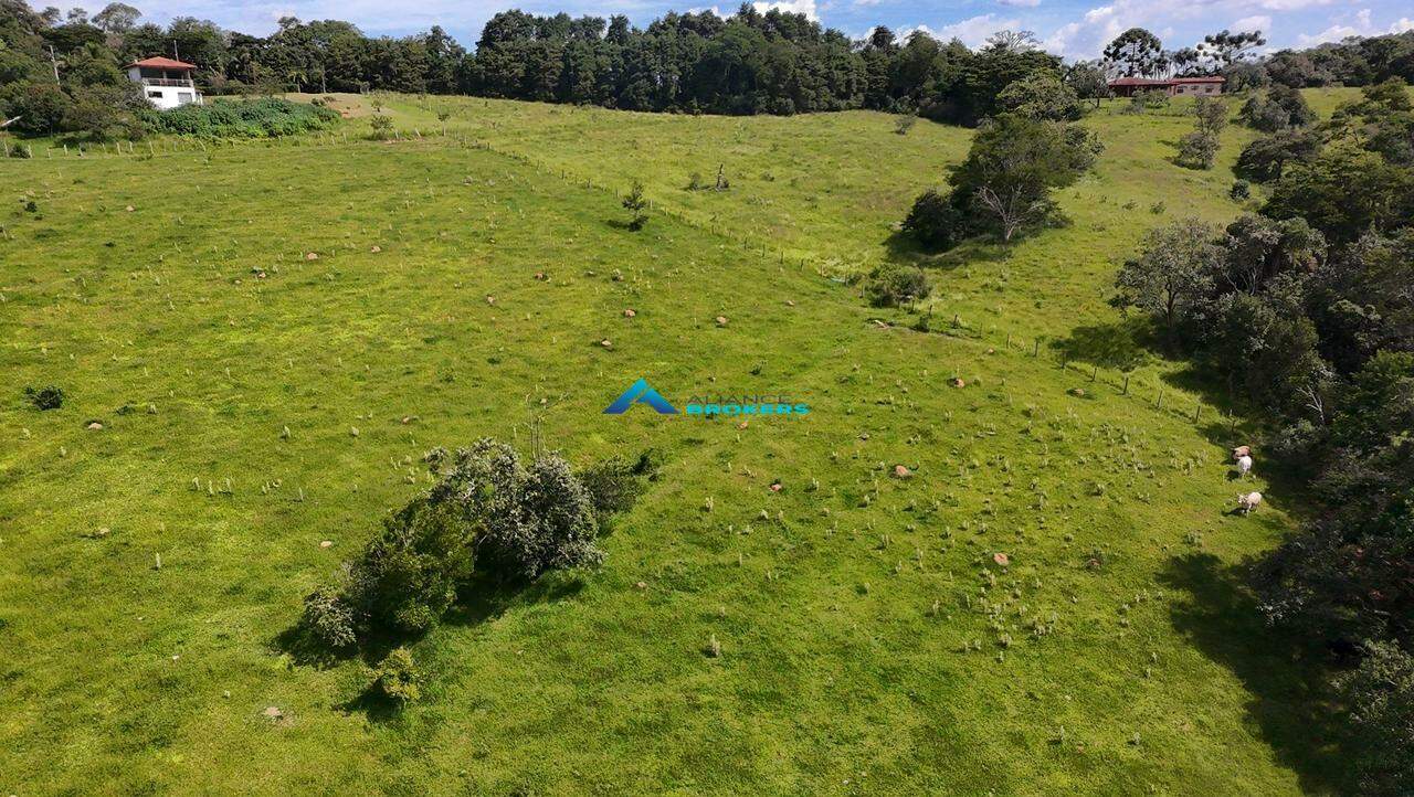 Terreno, 2 hectares - Foto 17