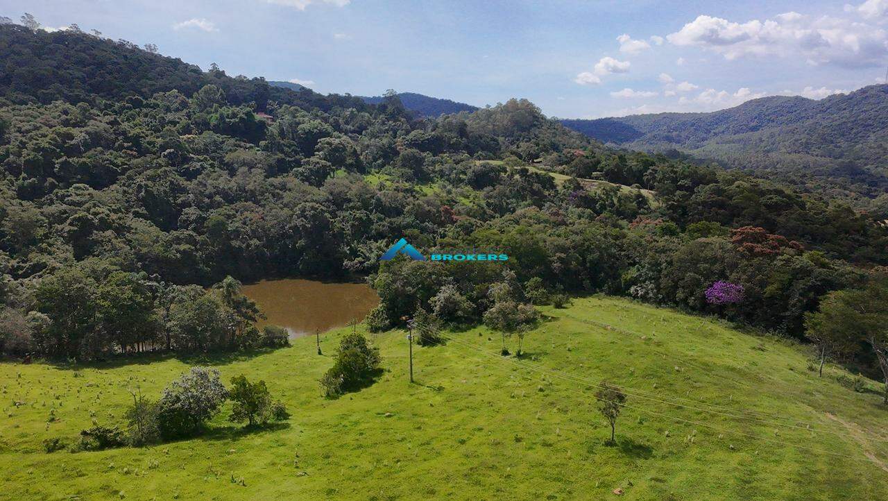 Terreno, 2 hectares - Foto 3