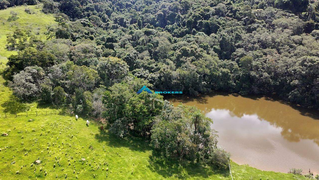 Terreno, 2 hectares - Foto 15