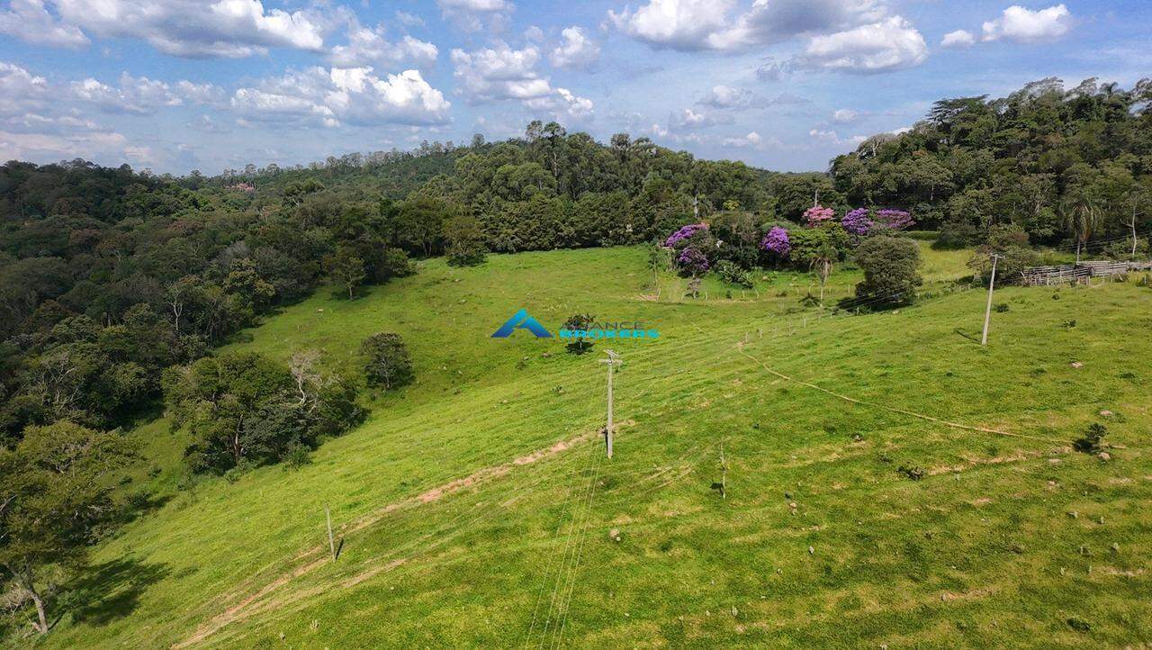 Terreno, 2 hectares - Foto 13