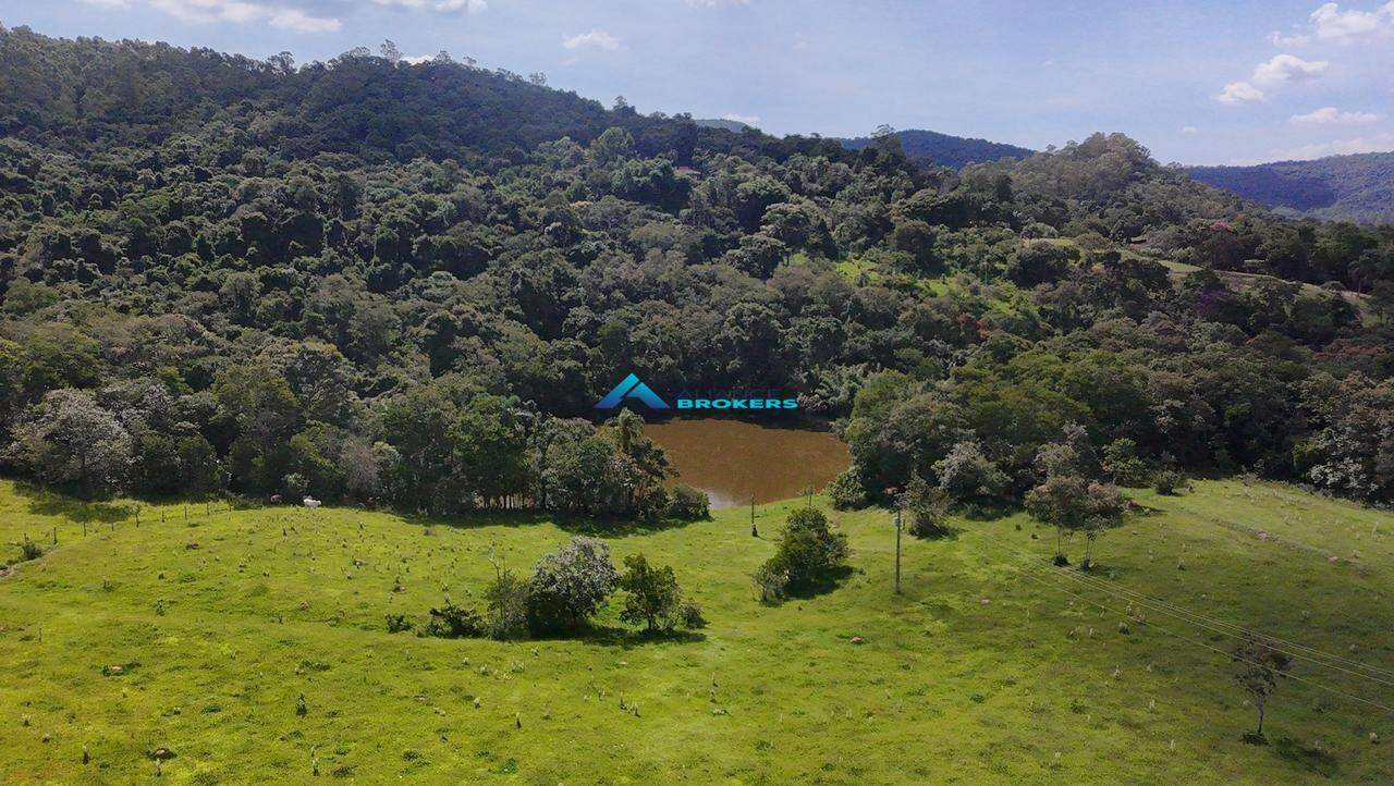 Terreno, 2 hectares - Foto 8