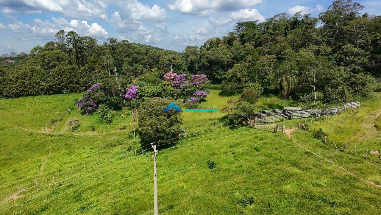 Terreno, 2 hectares - Foto 7