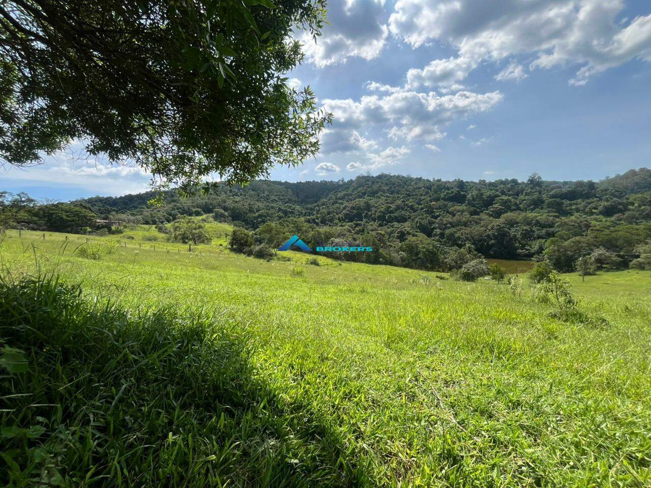 Terreno, 2 hectares - Foto 25