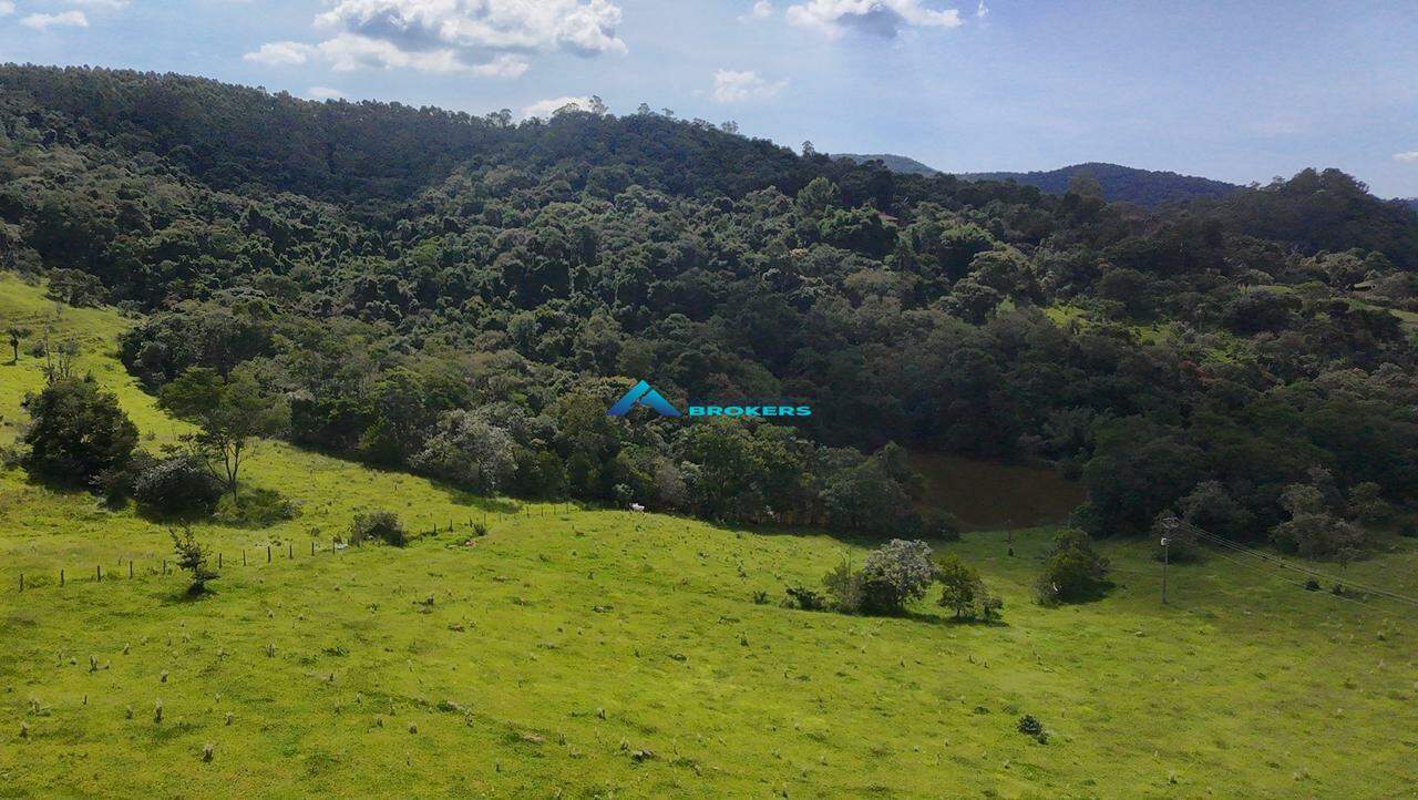 Terreno, 2 hectares - Foto 9