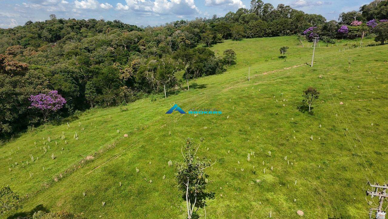 Terreno, 2 hectares - Foto 18