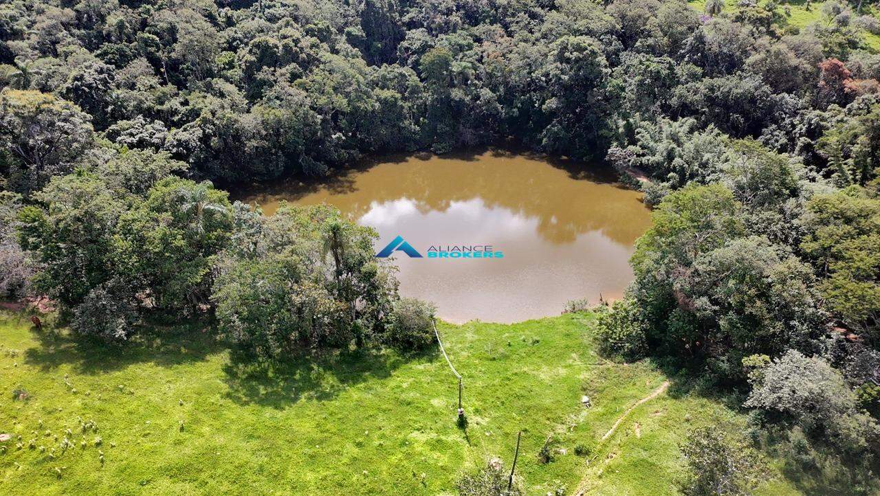 Terreno, 2 hectares - Foto 14