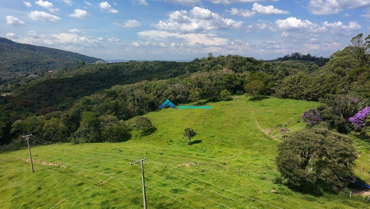Terreno, 2 hectares - Foto 2