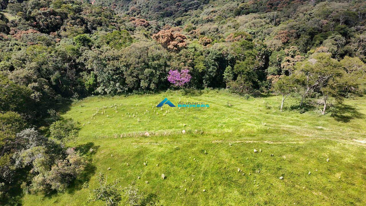 Terreno, 2 hectares - Foto 16