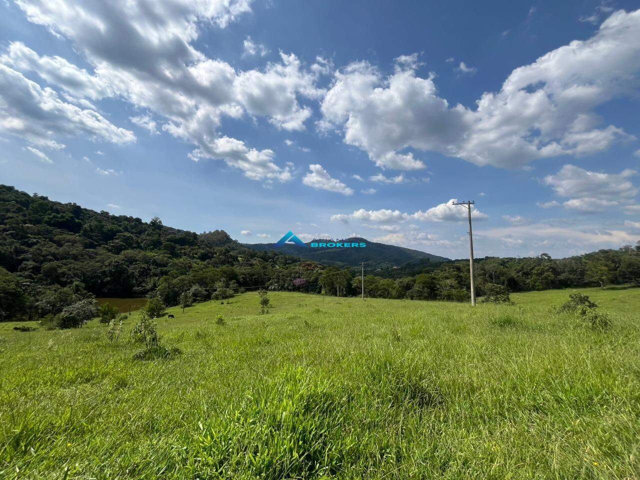 Terreno, 2 hectares - Foto 23