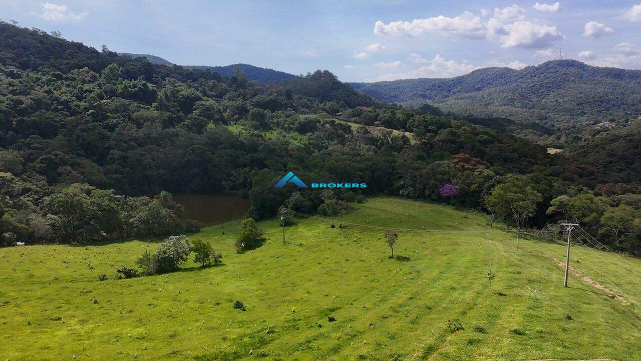 Terreno, 2 hectares - Foto 6