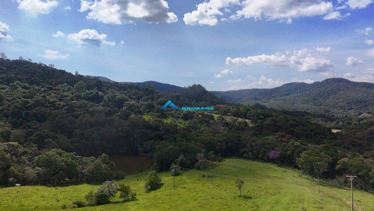 Terreno, 2 hectares - Foto 5