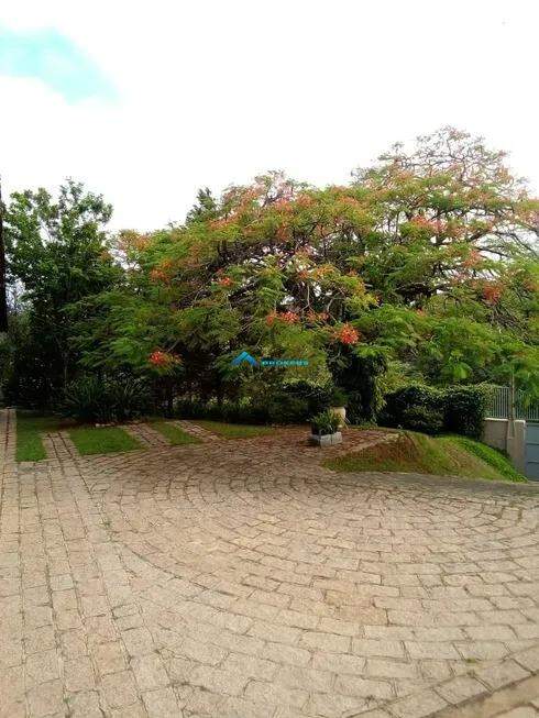 Casa, 4 quartos, 600 m² - Foto 11