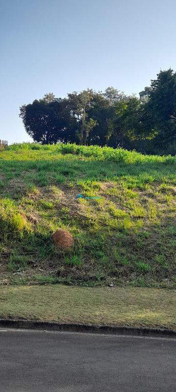 Terreno, 1020 m² - Foto 8
