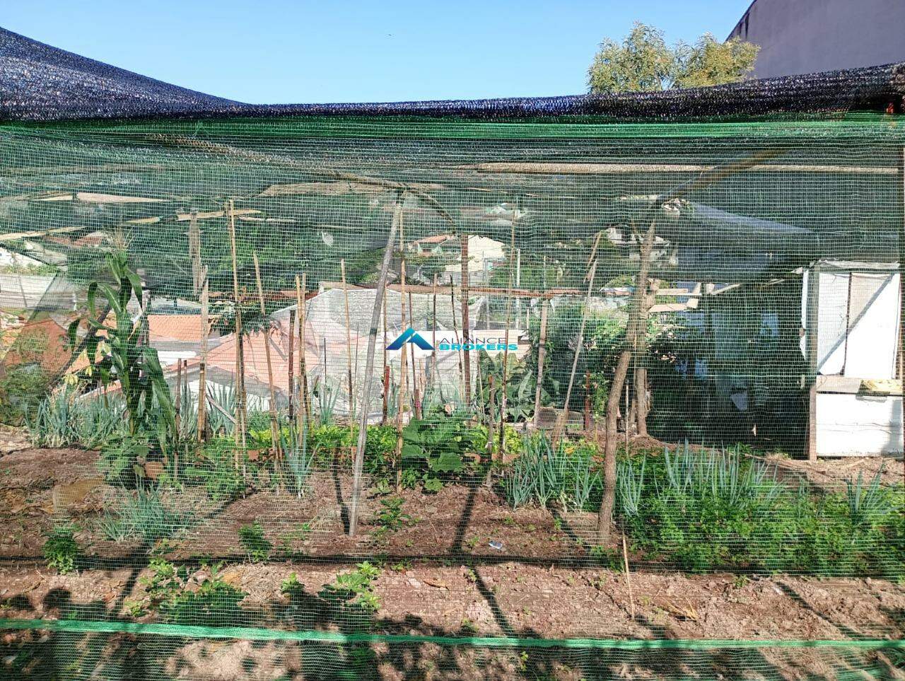 Terreno, 250 m² - Foto 2