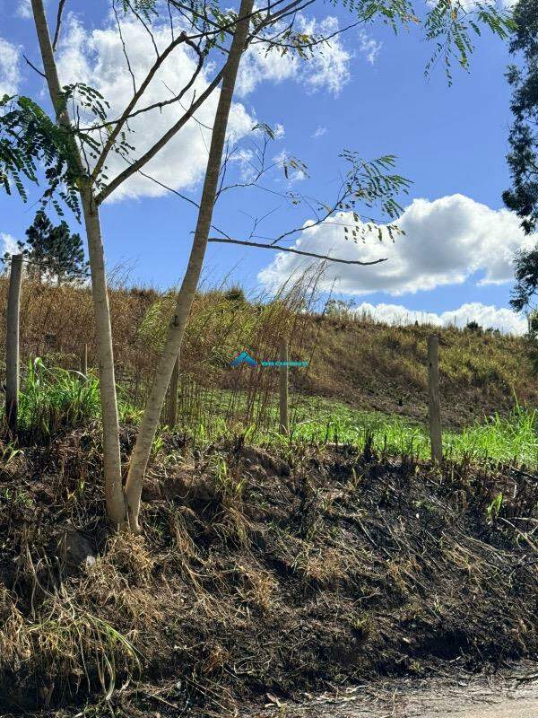 Terreno, 2 hectares - Foto 3