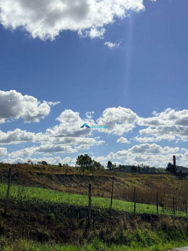 Terreno, 3 hectares - Foto 2