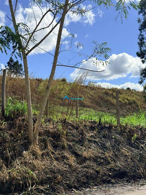 Terreno, 3 hectares - Foto 3