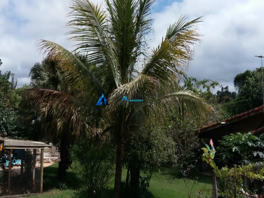 Chácara, 3 quartos, 1800 m² - Foto 5