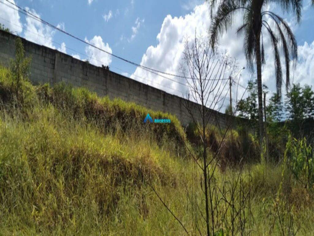 Terreno, 1 hectares - Foto 3