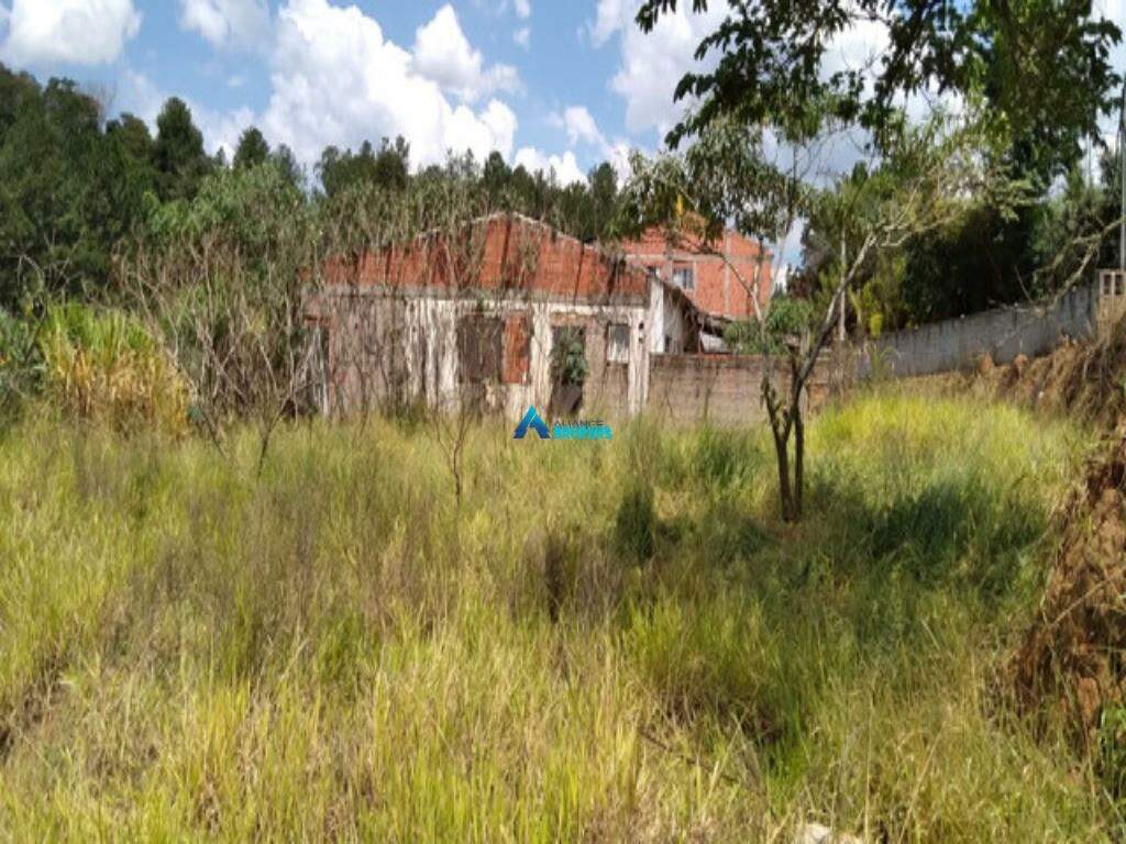 Terreno, 1 hectares - Foto 4