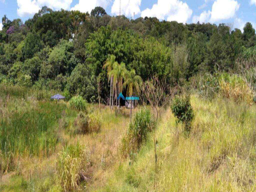 Terreno, 1 hectares - Foto 6