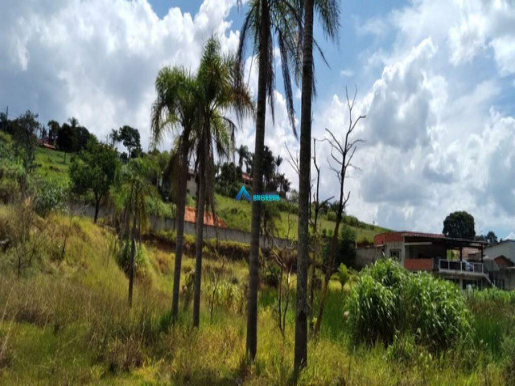 Terreno, 1 hectares - Foto 1