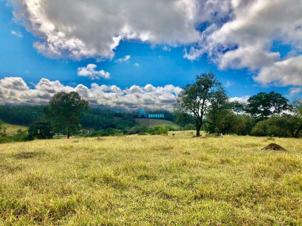 Fazenda à venda com 4 quartos, 250m² - Foto 20