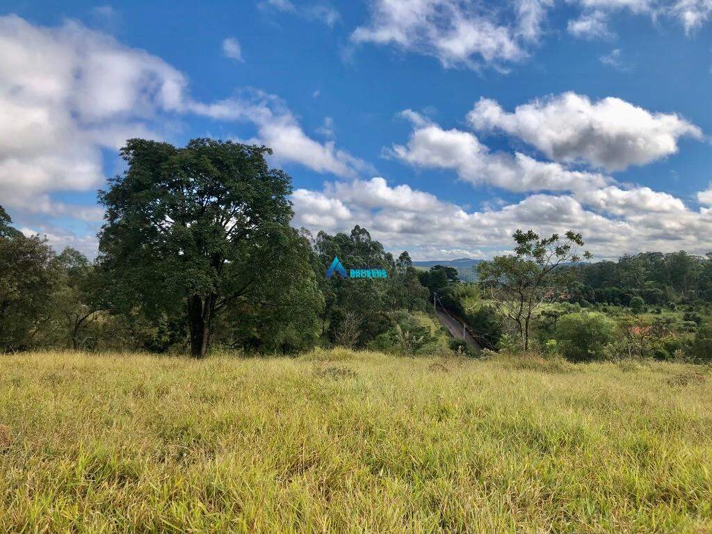 Fazenda à venda com 4 quartos, 250m² - Foto 23