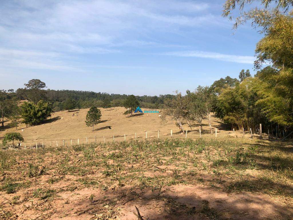 Fazenda à venda com 4 quartos, 250m² - Foto 7