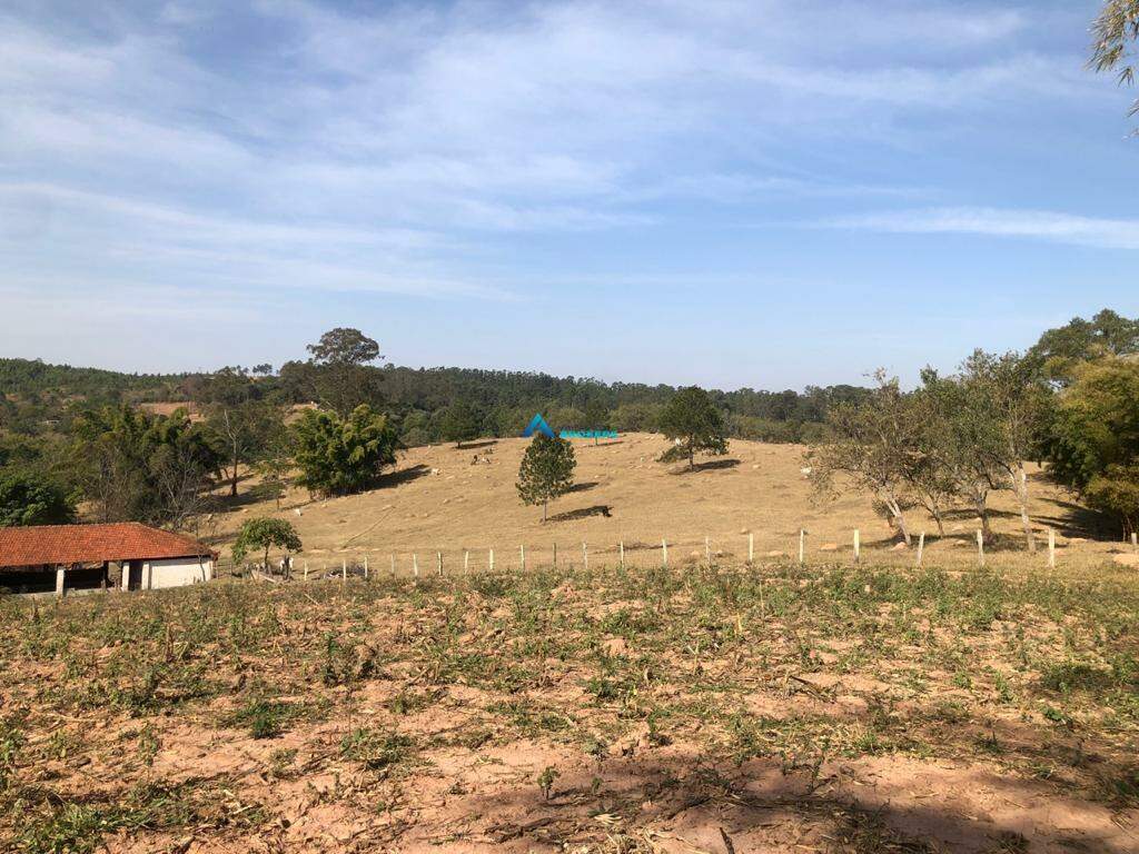 Fazenda à venda com 4 quartos, 250m² - Foto 3