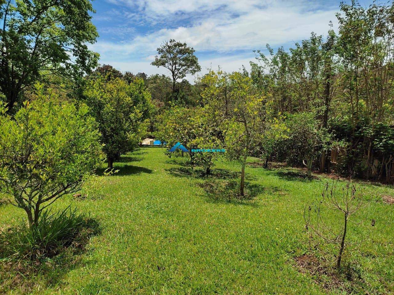 Fazenda à venda com 3 quartos, 17000m² - Foto 4