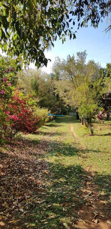 Fazenda à venda com 3 quartos, 17000m² - Foto 8