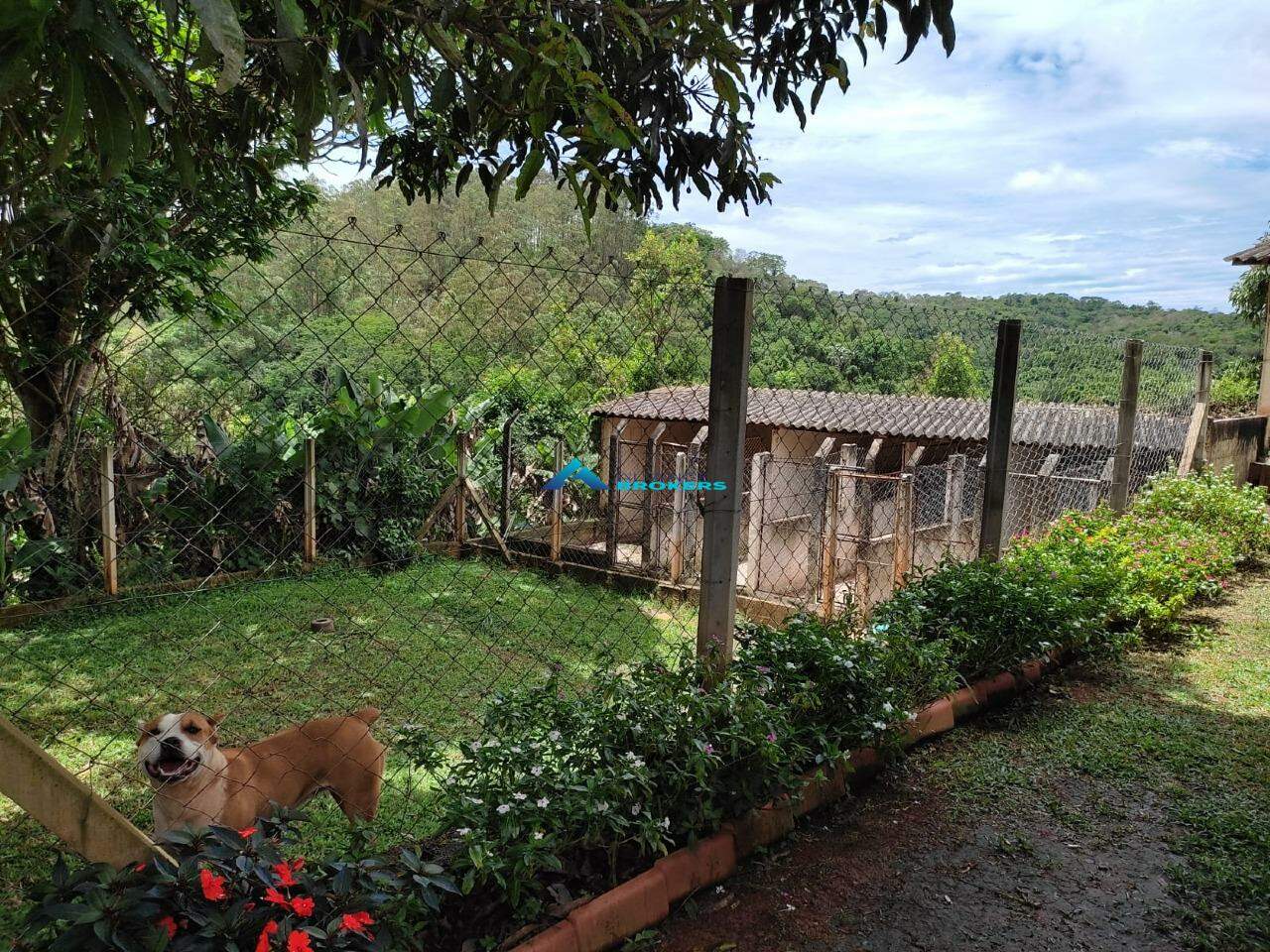 Fazenda à venda com 3 quartos, 17000m² - Foto 22