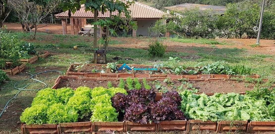 Fazenda à venda com 3 quartos, 17000m² - Foto 6