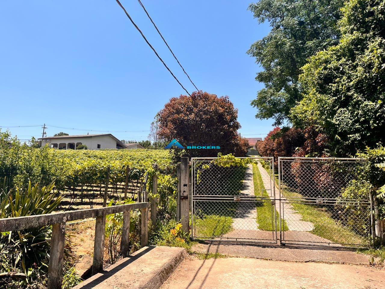 Sítio, 4 quartos, 15 hectares - Foto 29