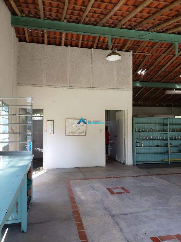 Fazenda à venda com 2 quartos, 250m² - Foto 28