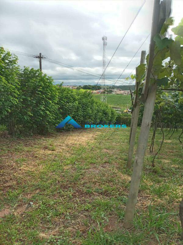 Terreno, 1 hectares - Foto 7