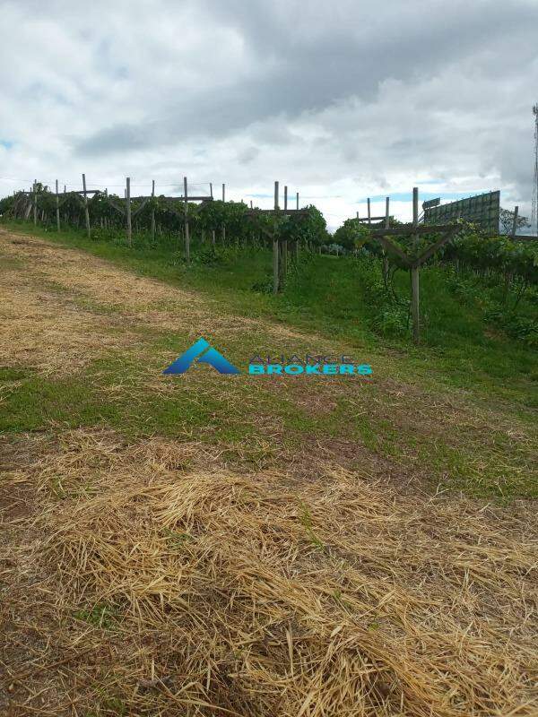 Terreno, 1 hectares - Foto 6