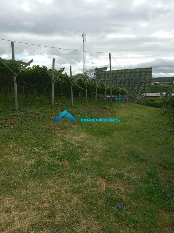 Terreno, 1 hectares - Foto 4