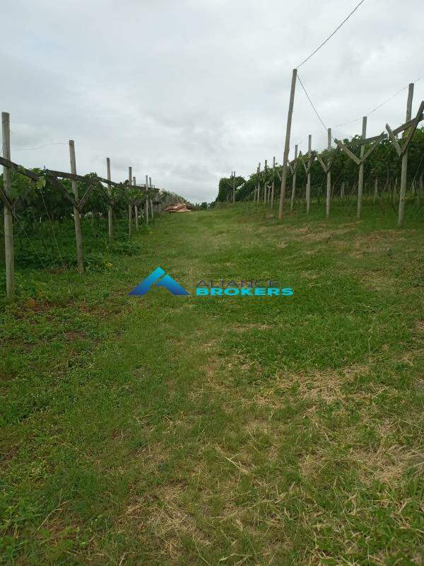 Terreno, 1 hectares - Foto 1