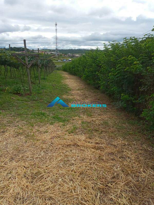 Terreno, 1 hectares - Foto 3