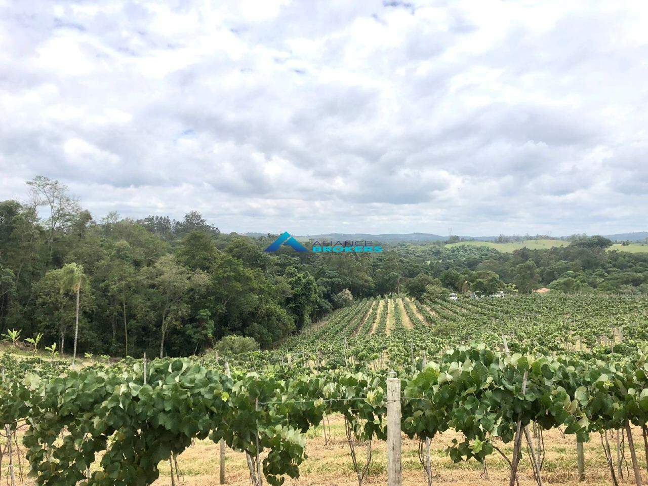 Terreno, 12 hectares - Foto 28
